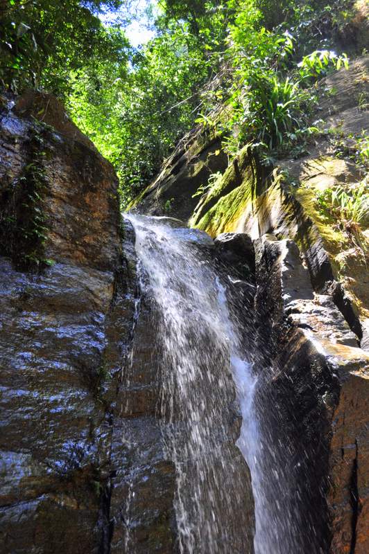 waterfall in Tijuca Forest