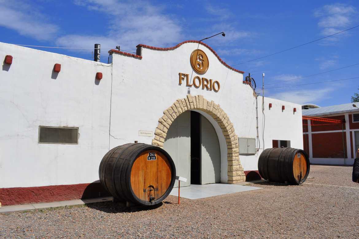We loved the sweet sparkling wines of 'Florio' winary
