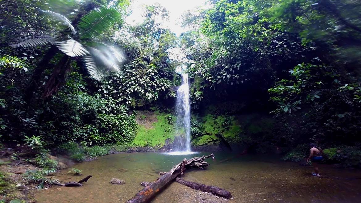 Walking in the jungle and jumping into refreshing waterfalls