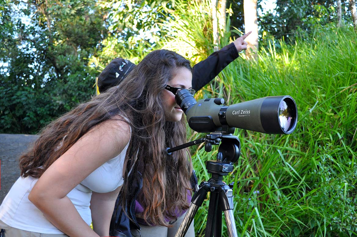 Mindo is perfect for bird watching