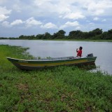 The Great Jungle Experience in The Pantanal
