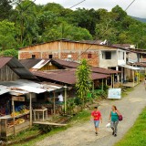 Welcome to San Cipriano – the Jungle Adventure Begins!